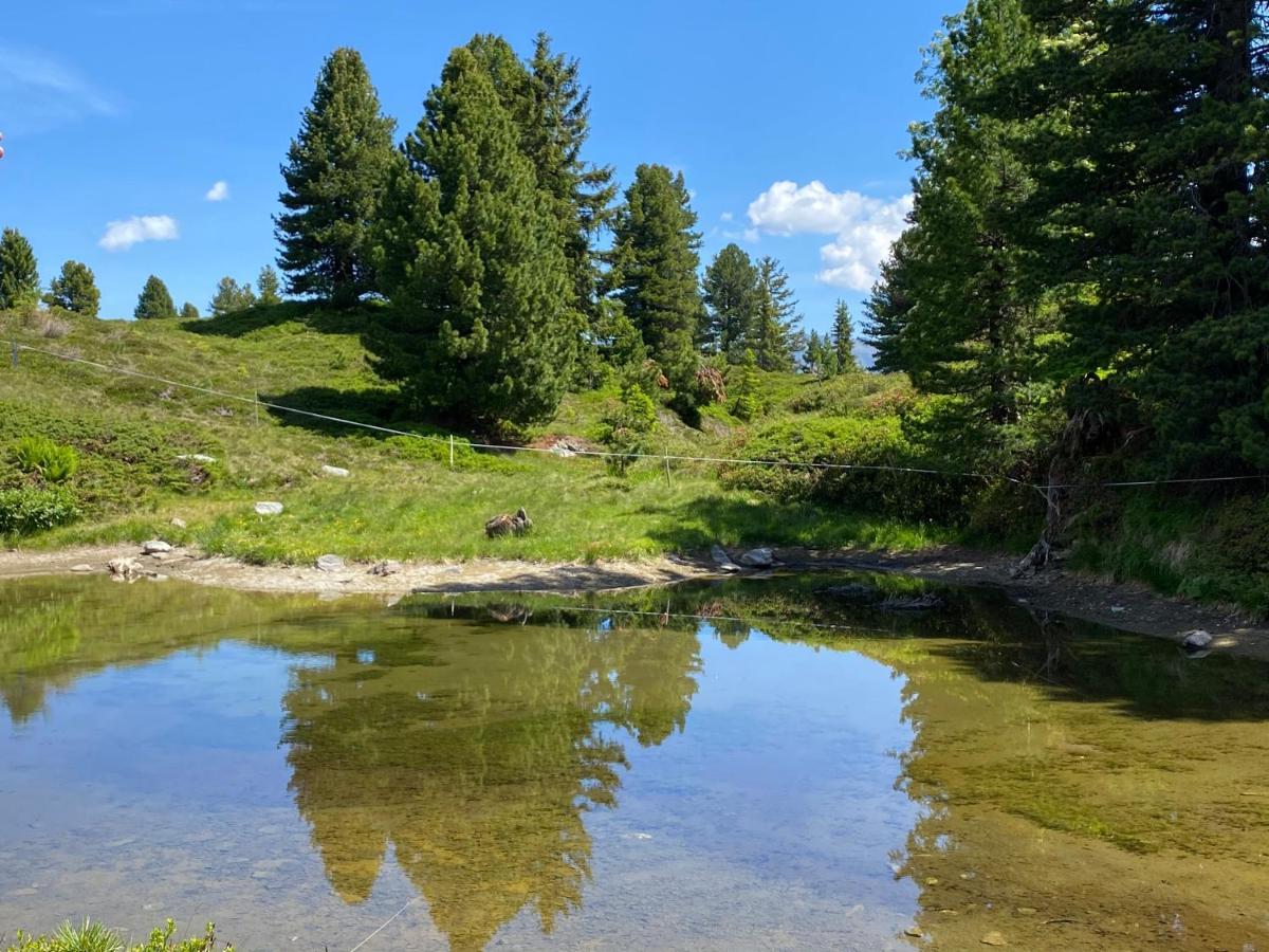 Landhaus Rieder Im Zillertal Apartment Aschau Im Zillertal Bagian luar foto